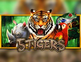 5 Tigers
