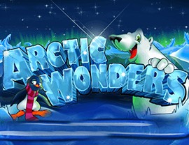 Arctic Wonders