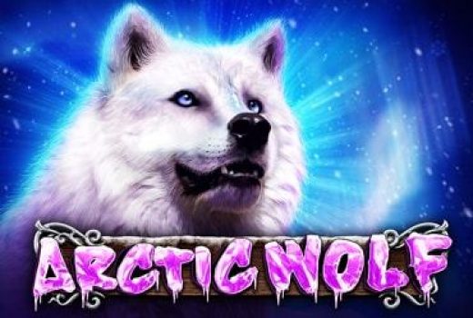 Artic Wolf - GMW (Game Media Works) - Nature