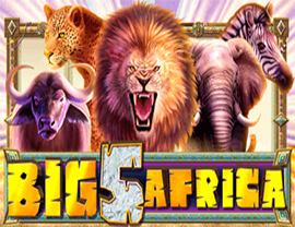 Big 5 Africa