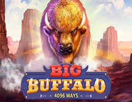 Big Buffalo