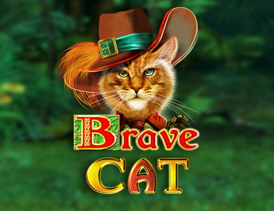 Brave Cat