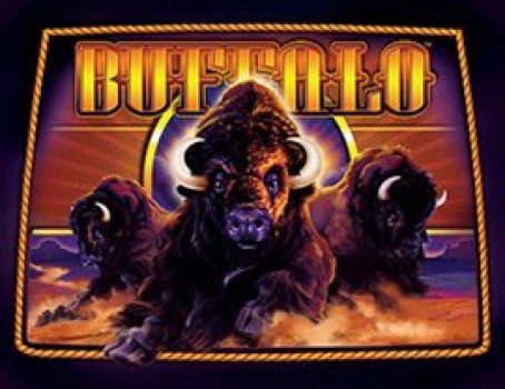Buffalo - Aristocrat - Animals