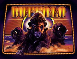 Buffalo