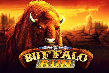 Buffalo Run
