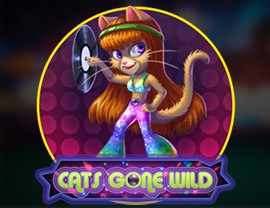 Cats Gone Wild