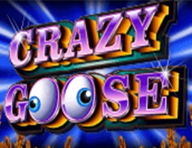 Crazy Goose
