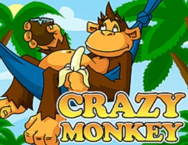 Crazy Monkey