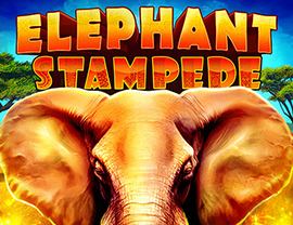 Elephant Stampede