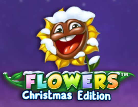 Flowers Christmas Edition