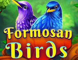 Formosan Birds