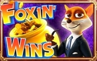 Foxin Wins HQ