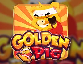 Golden Pig