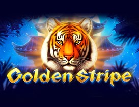 Golden Stripe