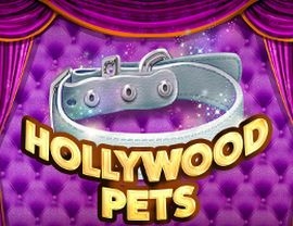 Hollywood Pets