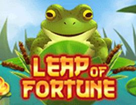Leap of Fortune