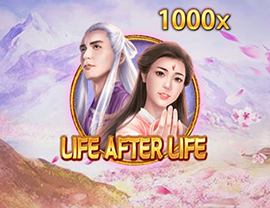 Life After Life