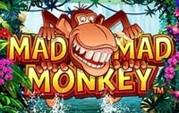Mad Mad Monkey