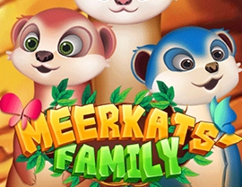 Meerkats’ Family