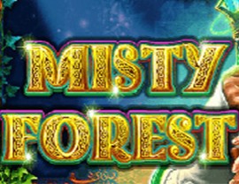 Misty Forest