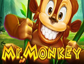 Mr. Monkey