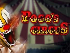Pogo’s Circus