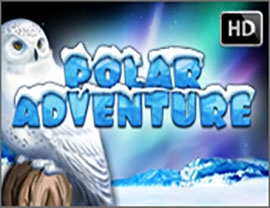 Polar Adventure