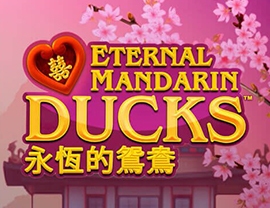 Power Prizes – Eternal Mandarin Ducks
