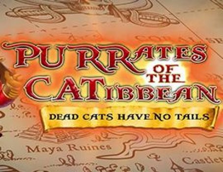 Purrates of the Catibbean - High 5 Games - Pirates