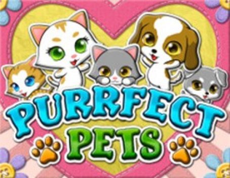 Purrfect Pets - Realtime Gaming - Animals