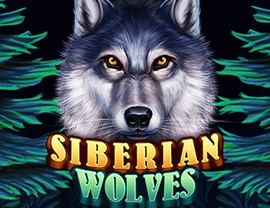 Siberian Wolves