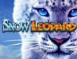 Snow Leopard