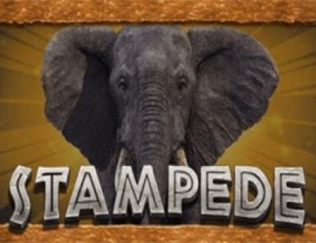 Stampede - Eyecon - Animals