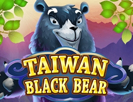 Taiwan Black Bear