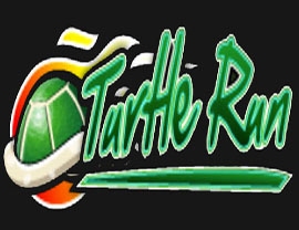 Turtle Run