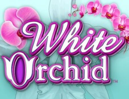 White Orchid - IGT - Love and romance