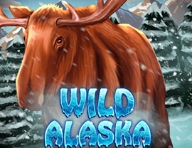 Wild Alaska