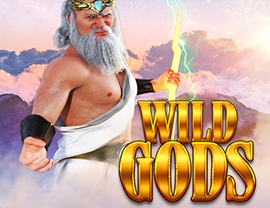 Wild Gods
