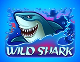 Wild Shark