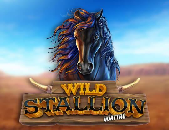 Wild Stallion