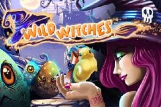 Wild Witches - NetEnt -