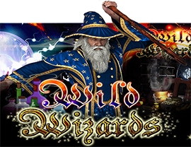 Wild Wizards